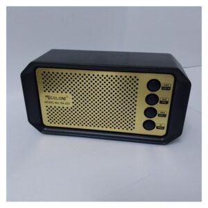 Golon Radio classique rechargeable
